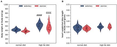 The impact of moderate endurance exercise on cardiac telomeres and cardiovascular remodeling in obese rats